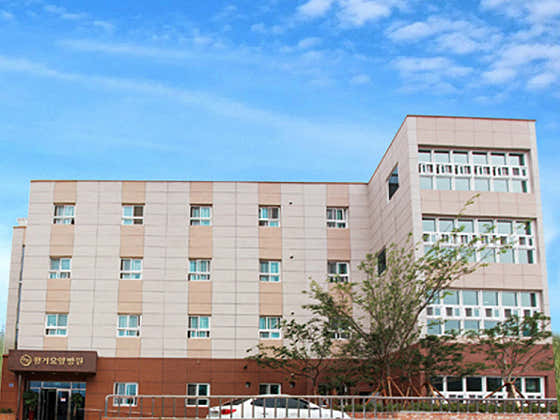 병원 이미지